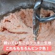 《期間限定》国産いちごのメロンパン | アレルギー対応パンのtonton