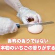 《期間限定》国産いちごとホイップクリームパン | アレルギー対応パンのtonton