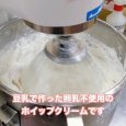 《期間限定》国産いちごとホイップクリームパン | アレルギー対応パンのtonton