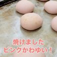 《期間限定》国産いちごとホイップクリームパン | アレルギー対応パンのtonton